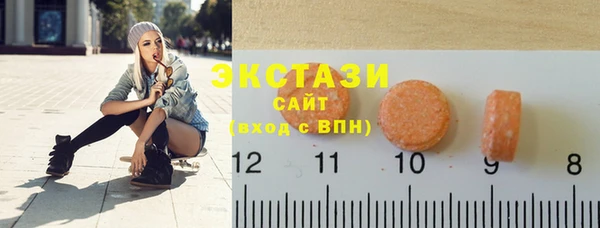 ГАЛЛЮЦИНОГЕННЫЕ ГРИБЫ Дмитриев
