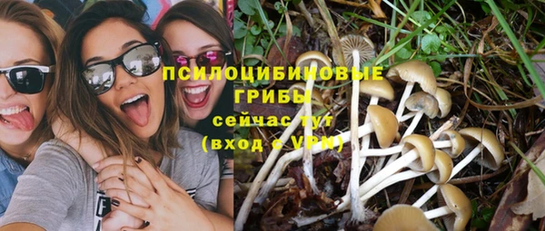 а пвп мука Алексин